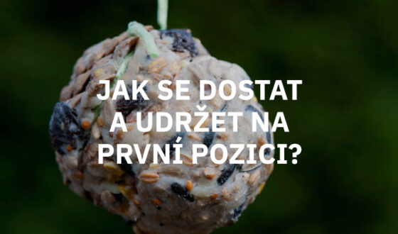 prvni pozice na google návod