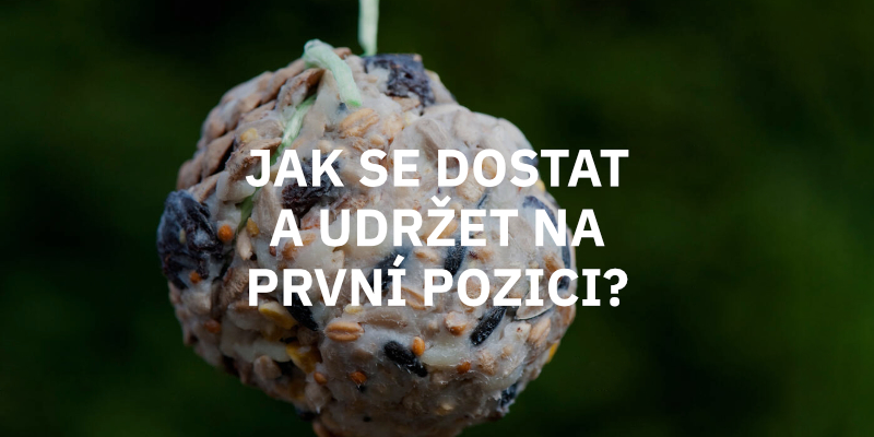 prvni pozice na google návod